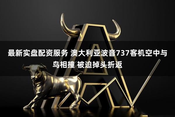 最新实盘配资服务 澳大利亚波音737客机空中与鸟相撞 被迫掉头折返