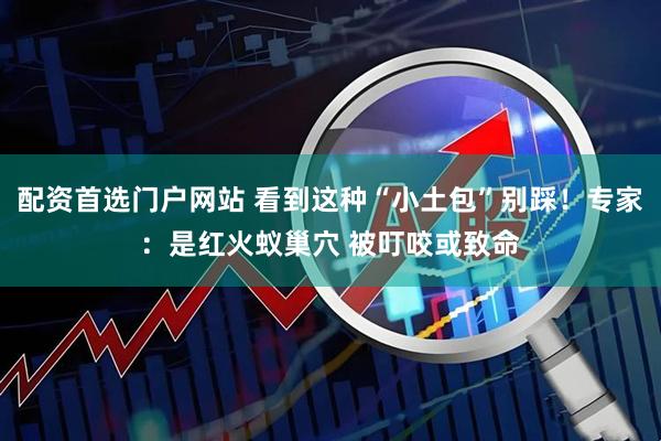 配资首选门户网站 看到这种“小土包”别踩！专家：是红火蚁巢穴 被叮咬或致命